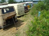 fot.Włodek z Płocka