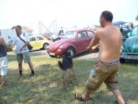 fot.Ewelinka Przygoda - hmm... ares wyprowadza Dawida na spacer....