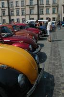 fot.Michał "VW TRENDS" 