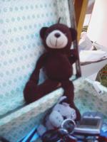 fot.Gosia Soczówka - Kryspinów 2006 