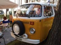 fot.Piotr Gryglaszewski