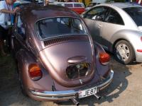 fot.Piotr Gryglaszewski