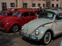 fot.Piotr Gryglaszewski