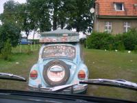 fot.Dominik