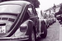 fot.artek (canon) 173.jpg