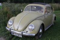 fot.artek (canon) 340.jpg