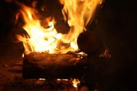 fot.artek (canon) 377.jpg