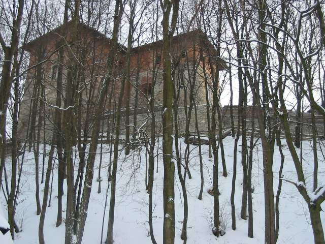 zamek za drzewami