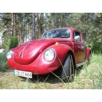 Garbuskowy uszestnik...