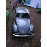 Widok z drzewa nr5
