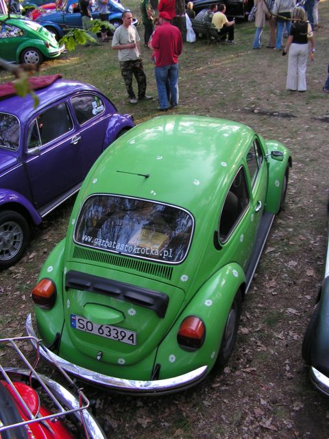 Widok z drzewa nr6 - Bartek
