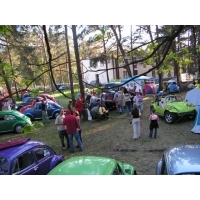 Widok z drzewa nr7