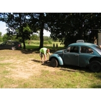 PICT0107.jpg