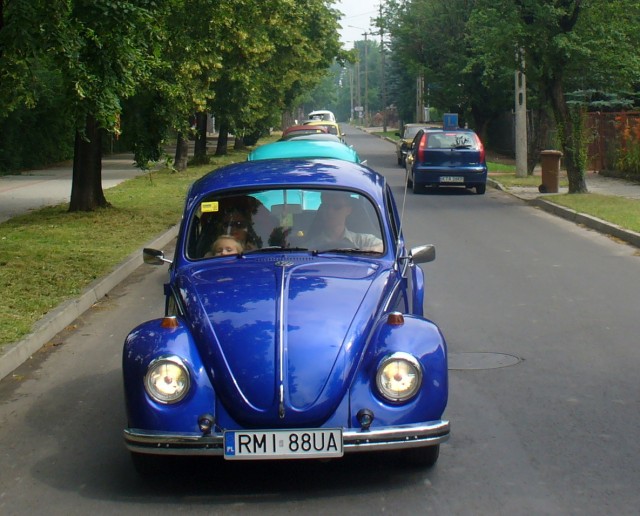 fot.Dominik