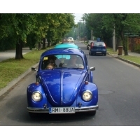 fot.Dominik