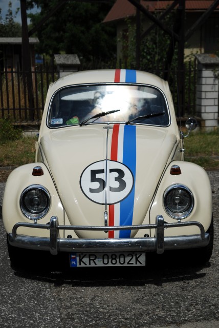 fot.Krzysiek Galon 204.jpg