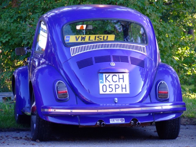 fot.Miniu 042.jpg