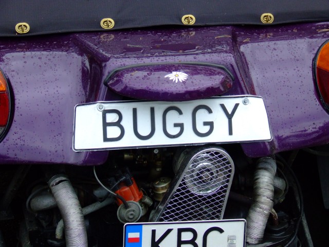 fot.Miniu 062.jpg