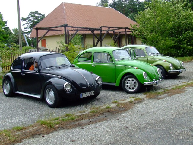 fot.Miniu 067.jpg