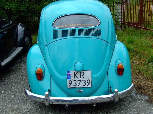 fot.Miniu 069.jpg