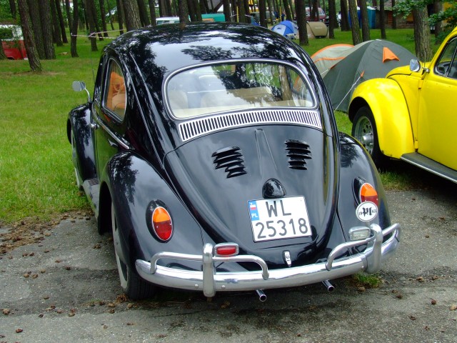 fot.Miniu 071.jpg