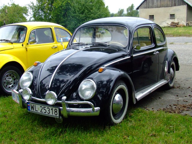 fot.Miniu 072.jpg