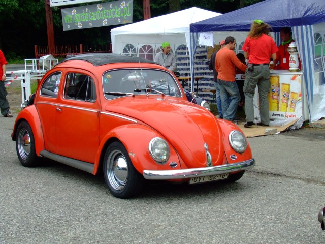 fot.Miniu 083.jpg
