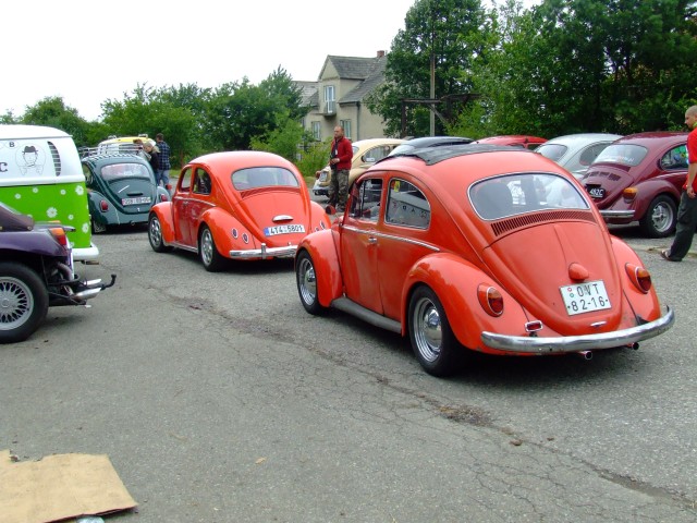 fot.Miniu 085.jpg
