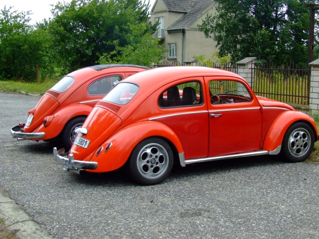 fot.Miniu 089.jpg