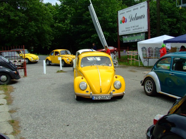 fot.Miniu 121.jpg