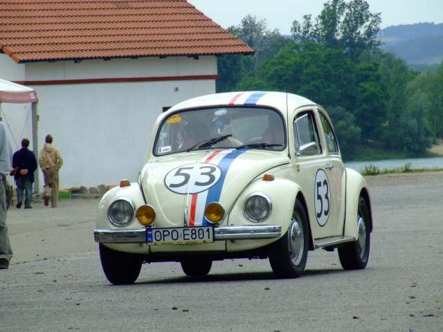 fot.Miniu 131.jpg