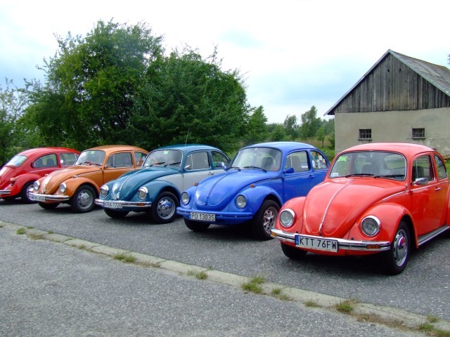 fot.Miniu 161.jpg