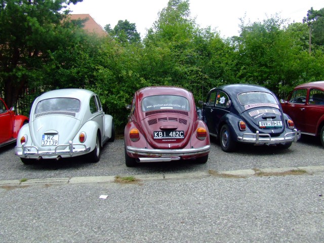 fot.Miniu 183.jpg