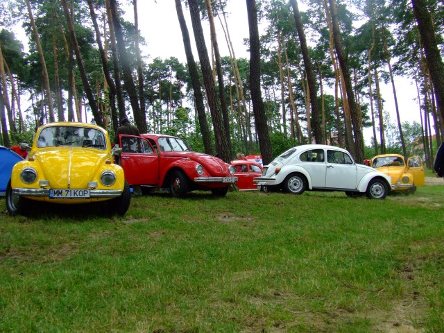 fot.Miniu 206.jpg