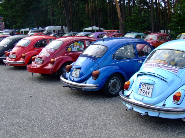 fot.Miniu 297.jpg