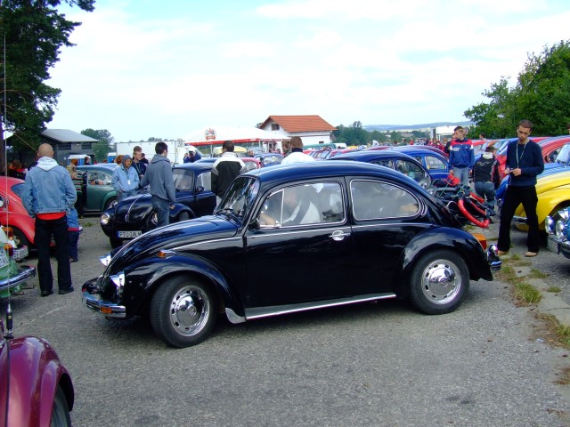 fot.Miniu 348.jpg