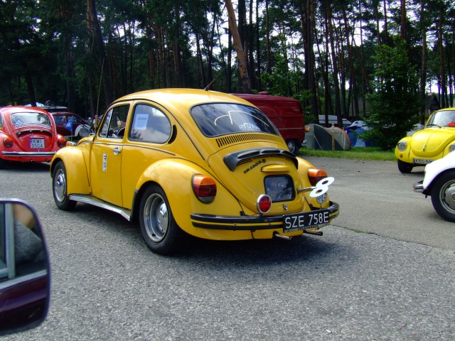 fot.Miniu 376.jpg