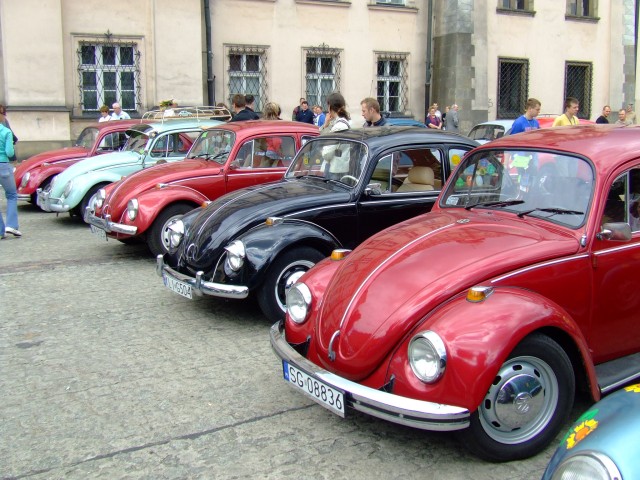 fot.Miniu 480.jpg