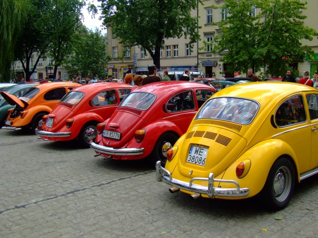 fot.Miniu 481.jpg