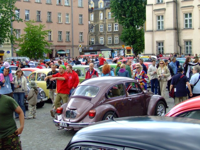 fot.Miniu 495.jpg