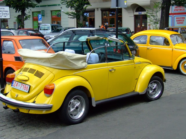 fot.Miniu 503.jpg
