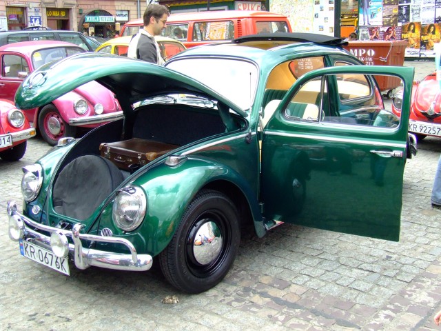 fot.Miniu 512.jpg