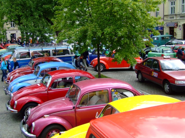 fot.Miniu 517.jpg