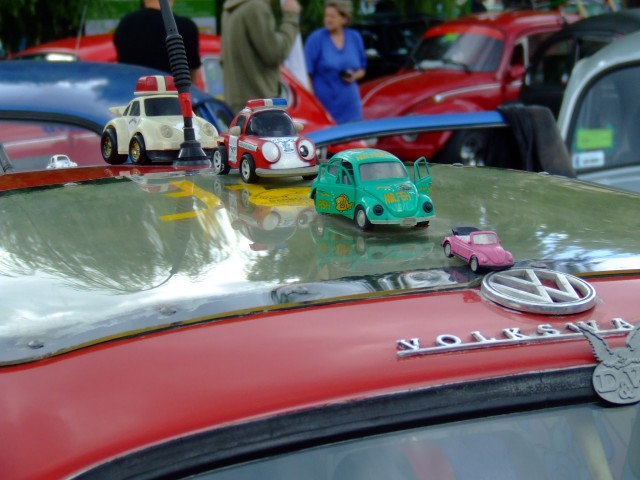 fot.Miniu 528.jpg