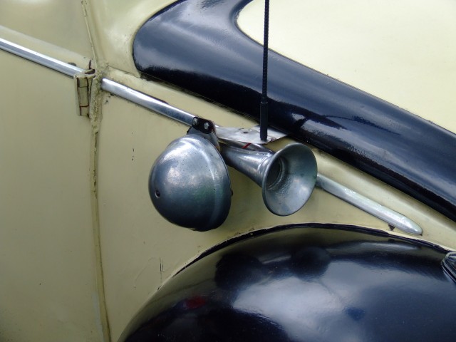 fot.Miniu 529.jpg
