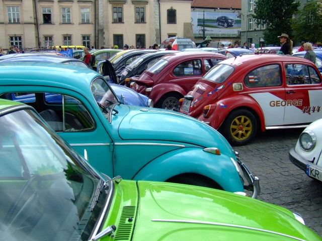 fot.Miniu 531.jpg