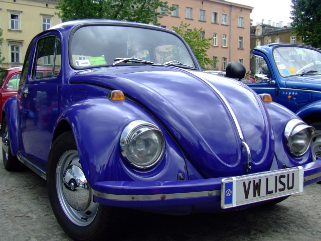 fot.Miniu 534.jpg