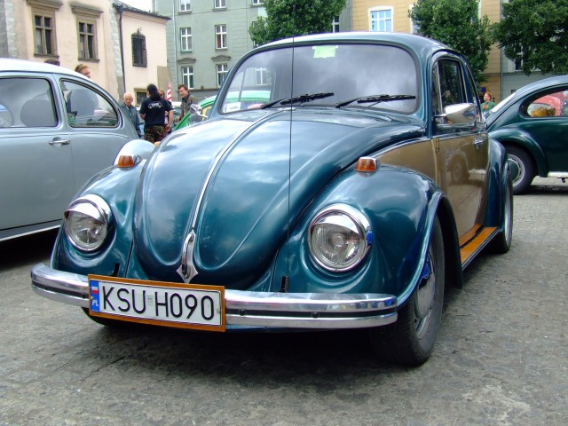 fot.Miniu 537.jpg