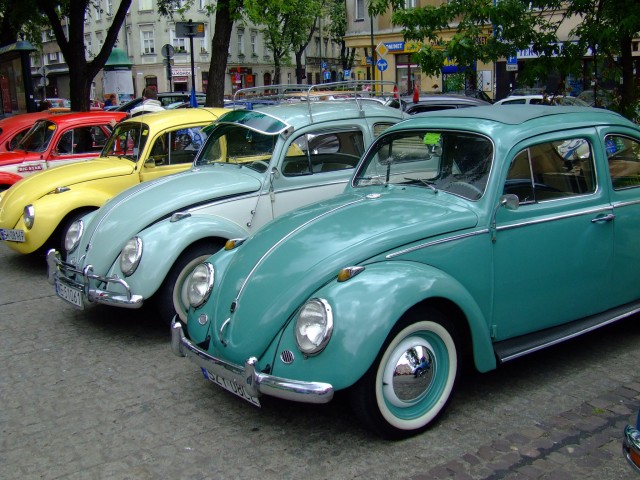 fot.Miniu 538.jpg