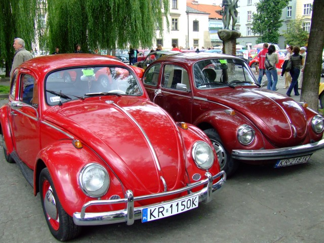 fot.Miniu 551.jpg